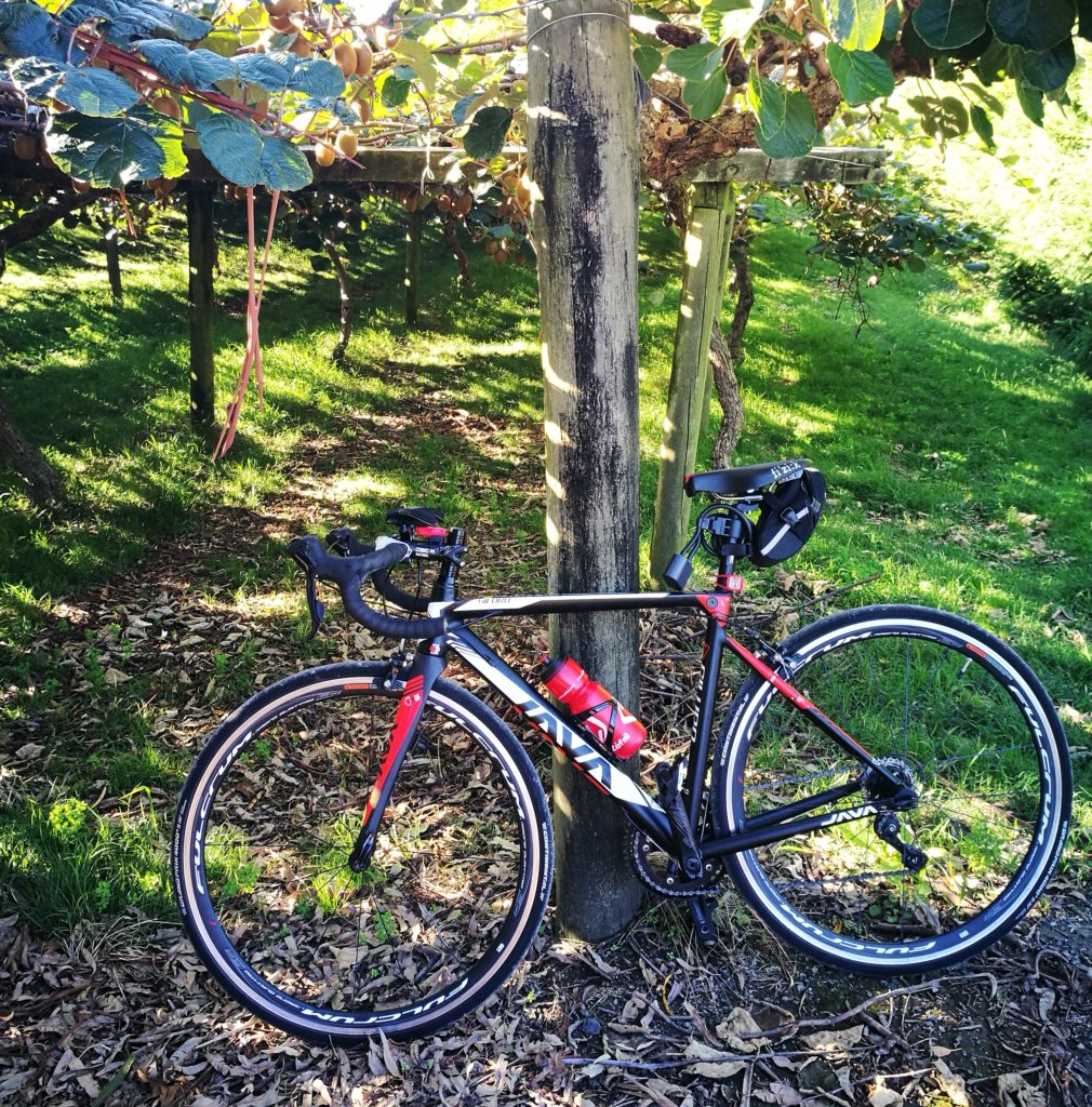 bicycle park against stand near Kiwi fruit farm