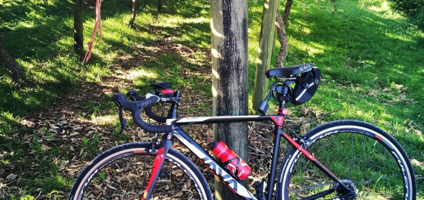 Cycling through Kiwi fruit farm