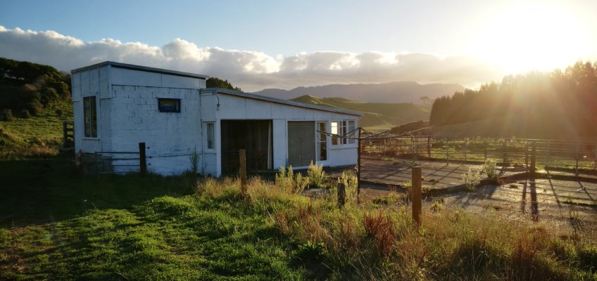 The shed i stayed