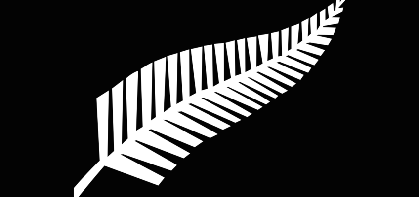 all black silver fern